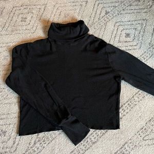 Wilfred Long Sleeve Cropped Turtleneck